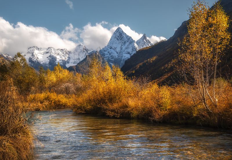 кавказ, горы, карачаево-черкесия, кчр, домбай, теберда, гоначхир, кавказский хребет, горная река, осень, краски осени, осень в горах Вспоминая домбайскую осень фото превью