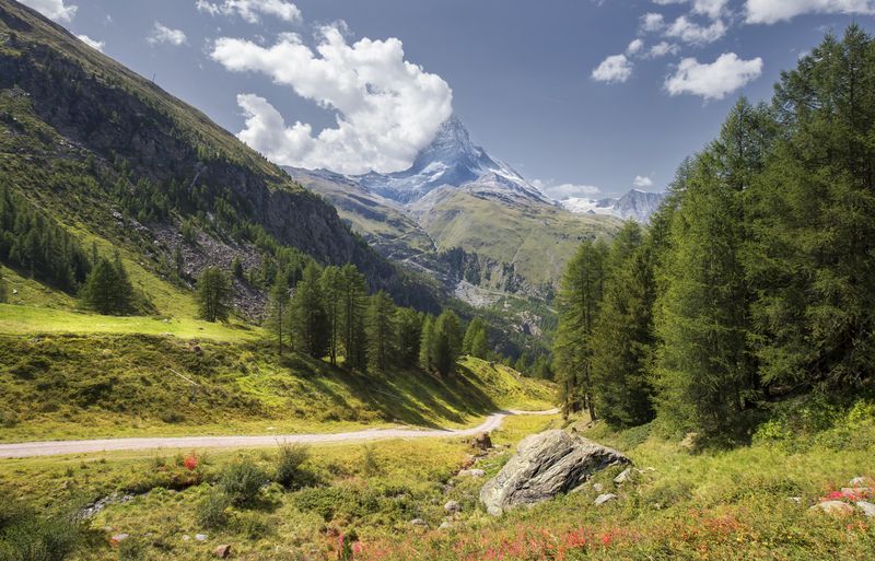 фото превью