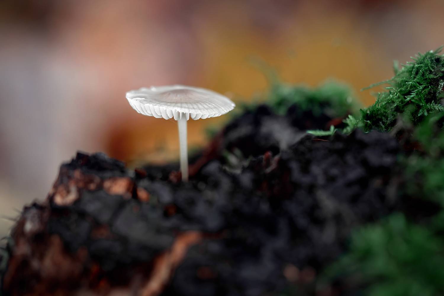 , Завьялова Людмила!