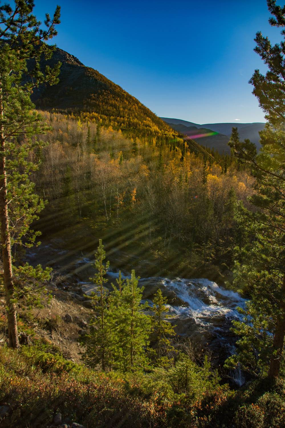 , Егорова Наталья