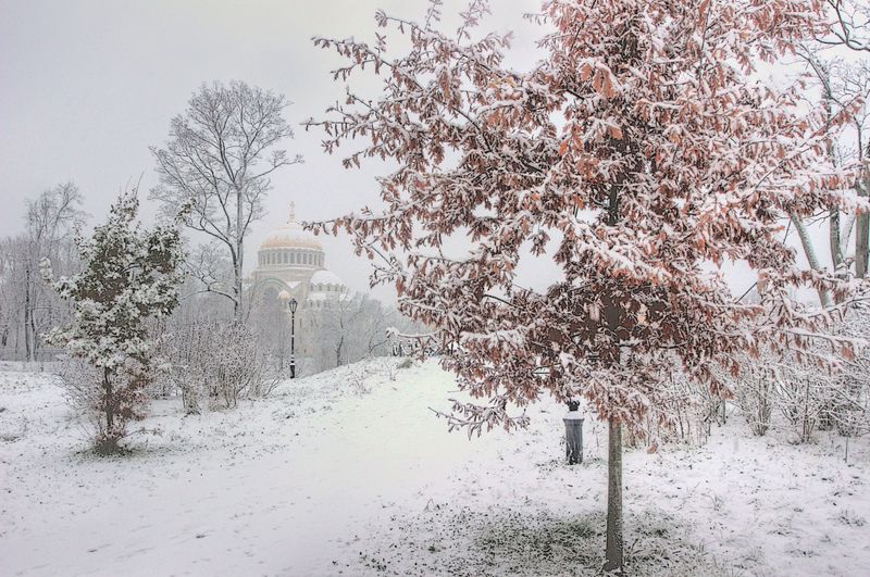 *** фото превью