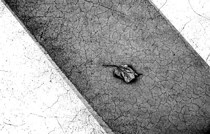 Осенняя грусть фото превью