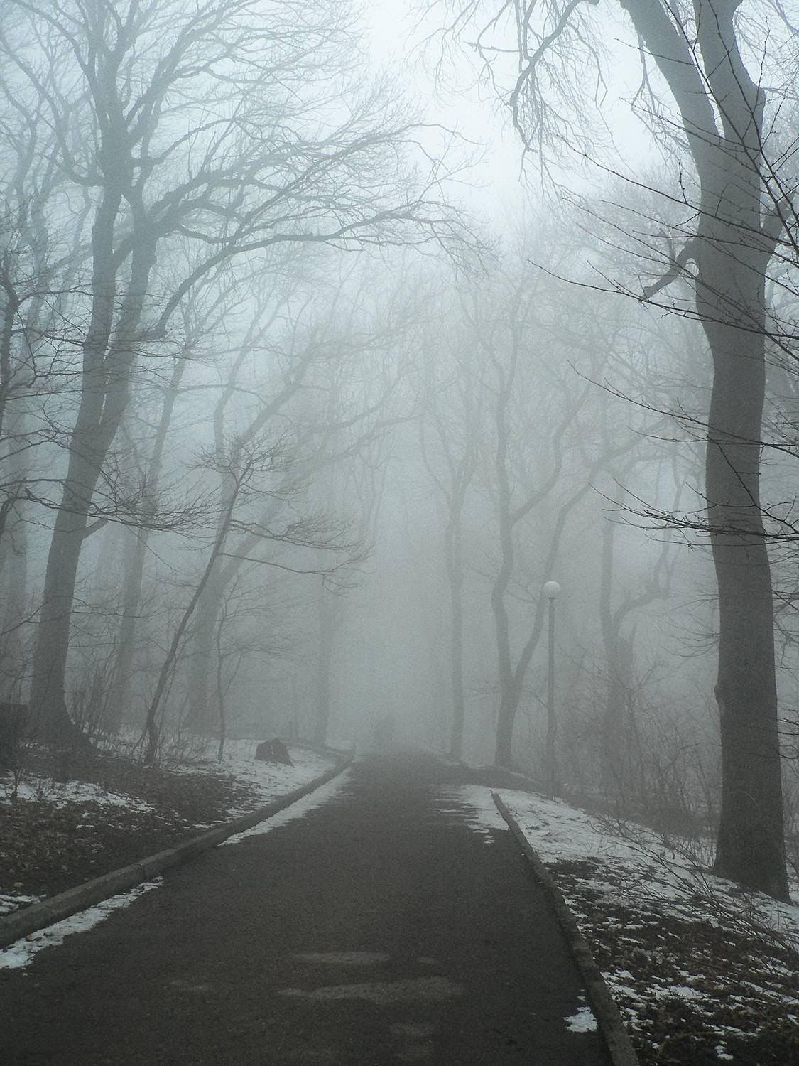 железноводск, туман, парк, КарОл