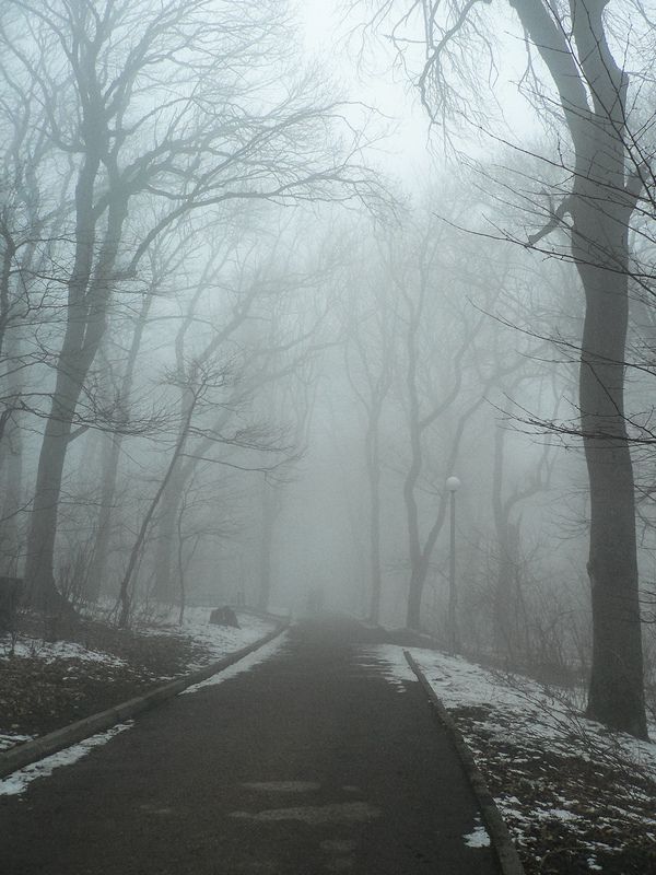 Туман фото превью