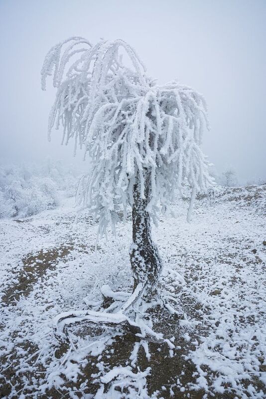 2014 фото превью