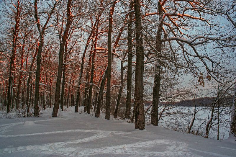 фото превью