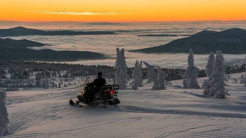 Рассвету навстречу