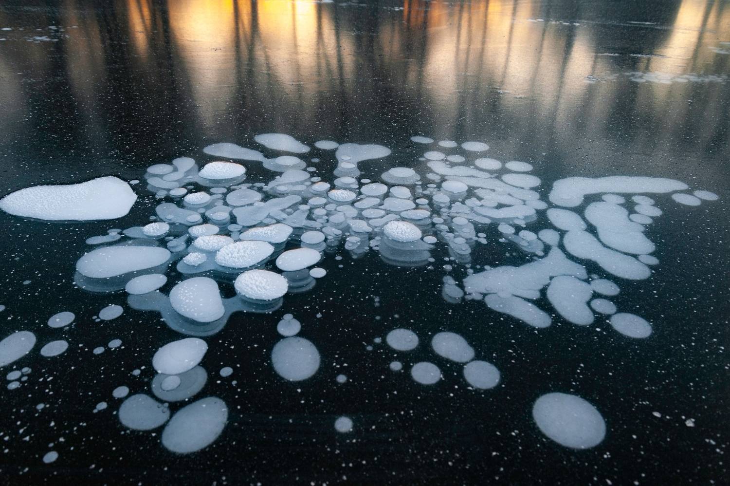 , Васильева Дарья