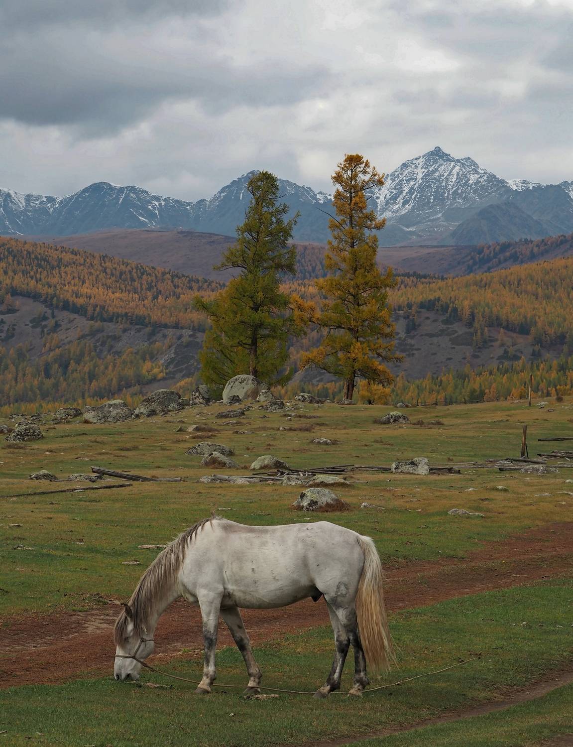 , Яковлев Евгений