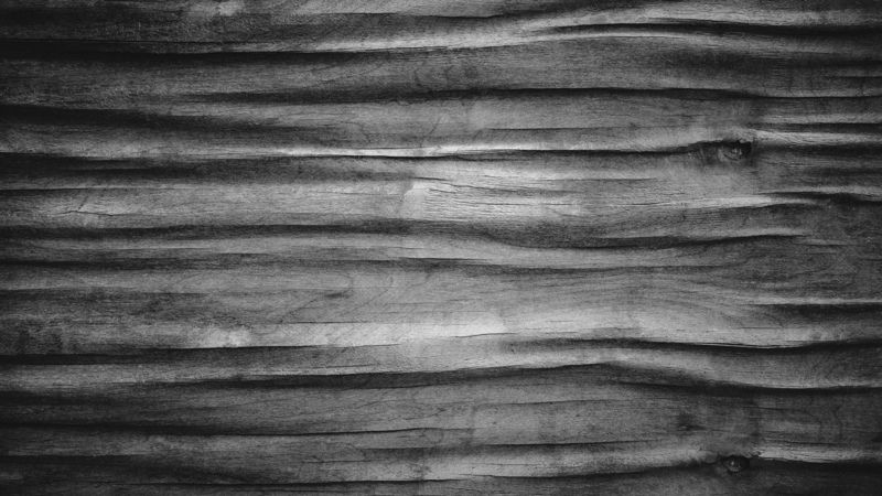 Дерево фото превью