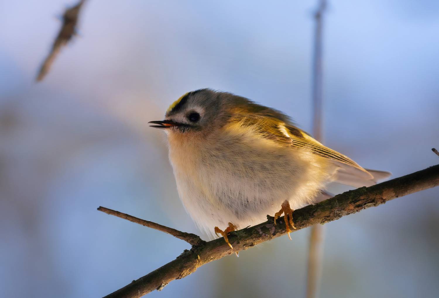 , Юрий Андреев