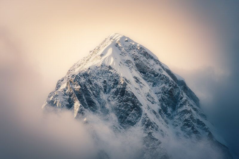 Пумори, портрет фото превью