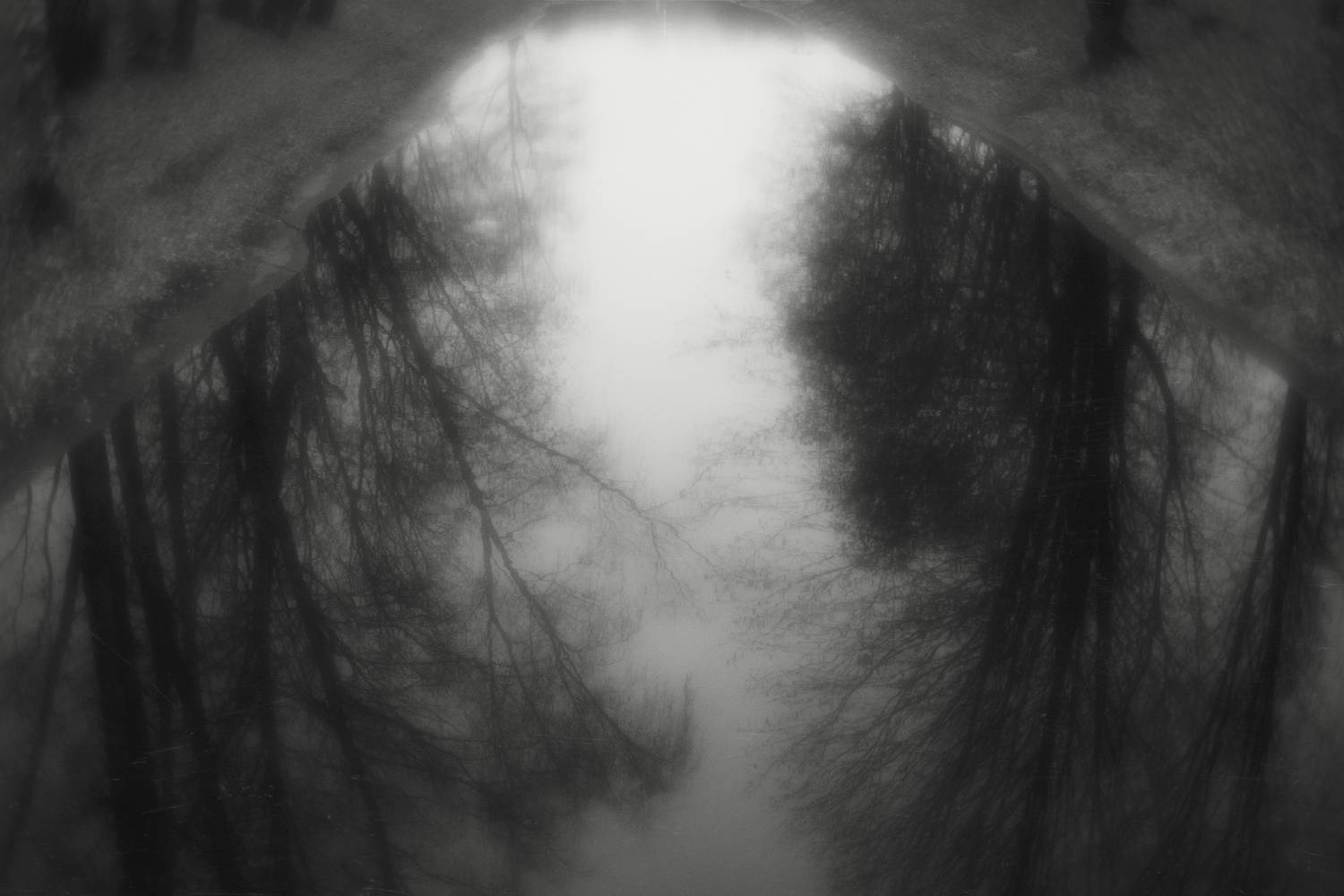 , Алексей Назаров