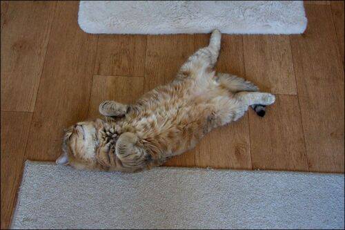 .. после трёхнедельной поездки..)..