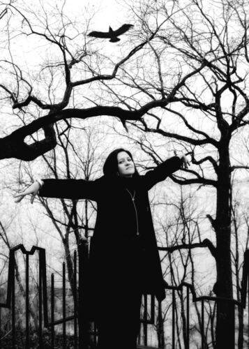 Люди, птицы и деревья.