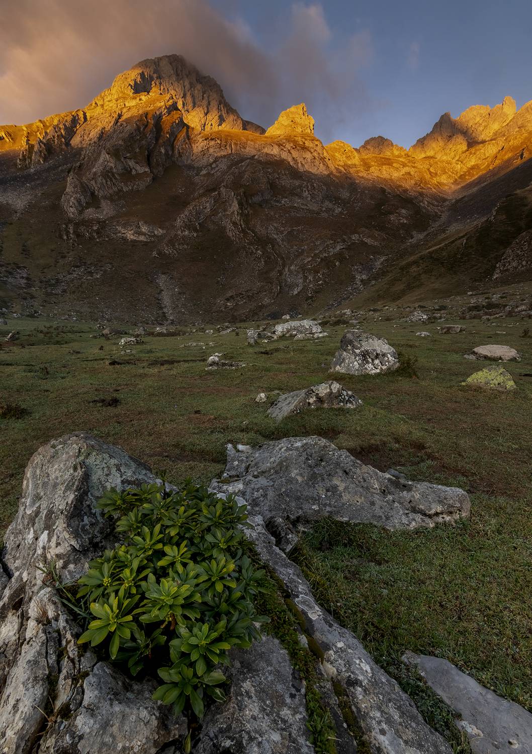 photography, mountain, autumn, flower, landscape, photo, awakening, flowers, land, landmark, lands, dramatic ligth, ligth, mountains, jimenez millan samuel