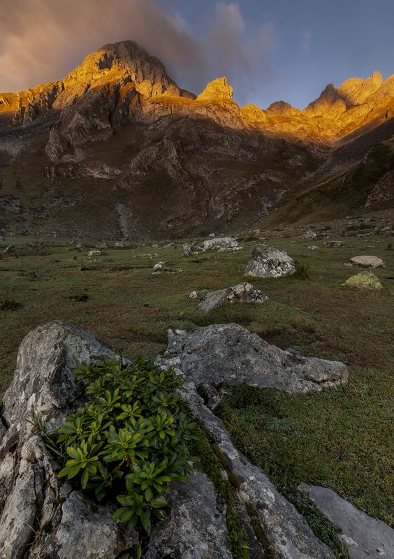 photography, mountain, autumn, flower, landscape, photo, awakening, flowers, land, landmark, lands, dramatic ligth, ligth, mountains Romulus фото превью