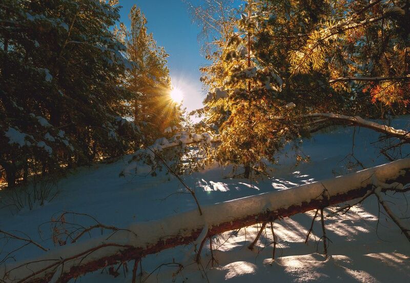 тернистой дорогой фото превью