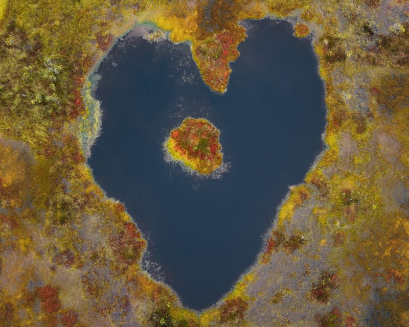 болота, болталенобласти, ленобласть Болота. Озерца. Островки. фото превью