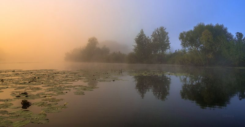 осень утро озеро туман природа пейзаж Утро в сентябре. фото превью