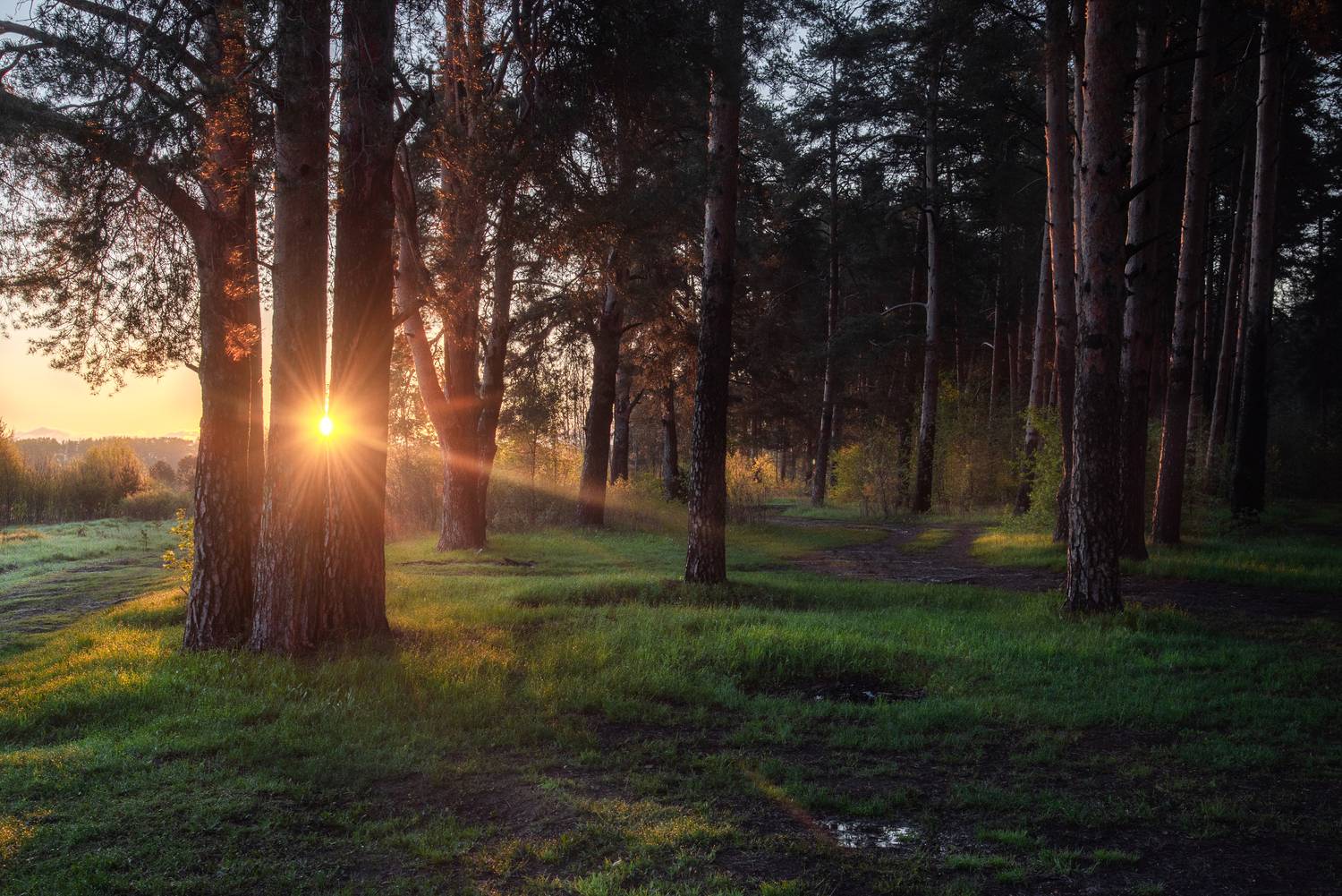 , Малыгин Андрей