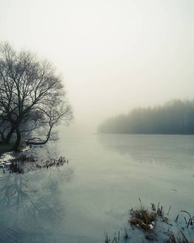 Туманный день на берегу замёрзшей реки (1) и 