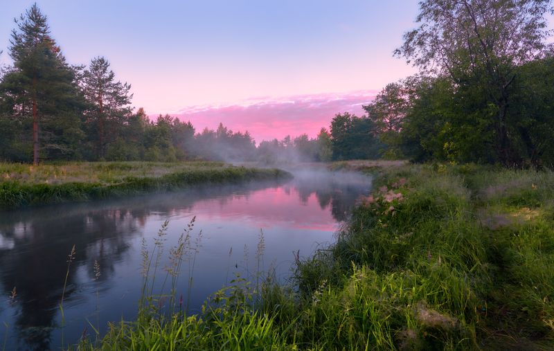 Нерское разнотравье ... фото превью