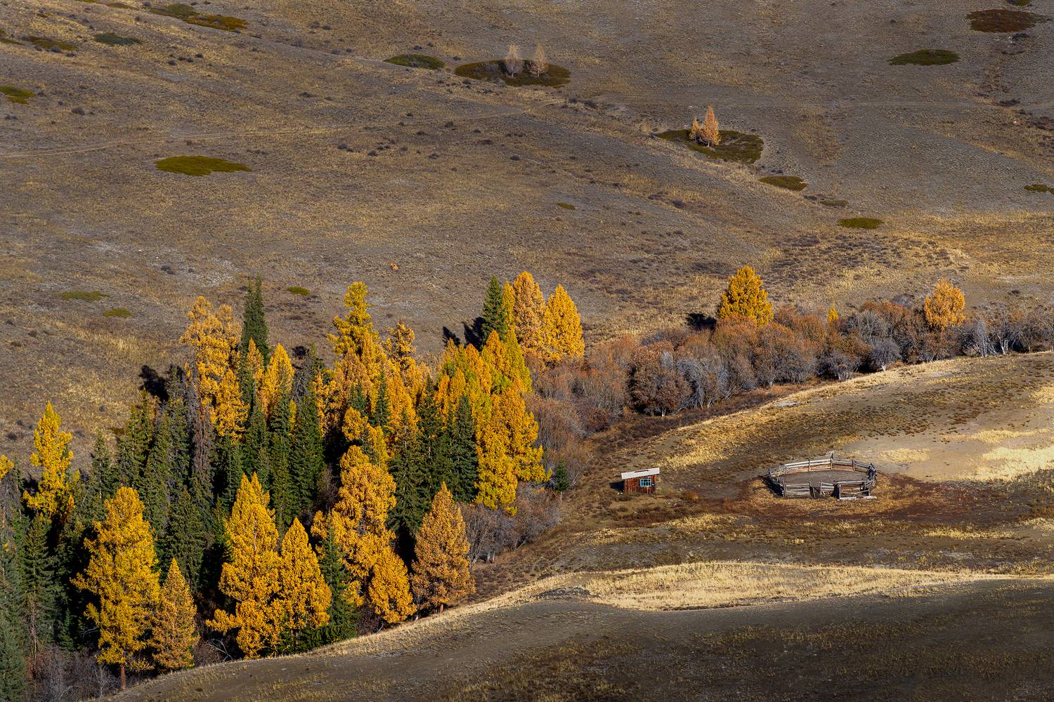 , Юрий Матвеев