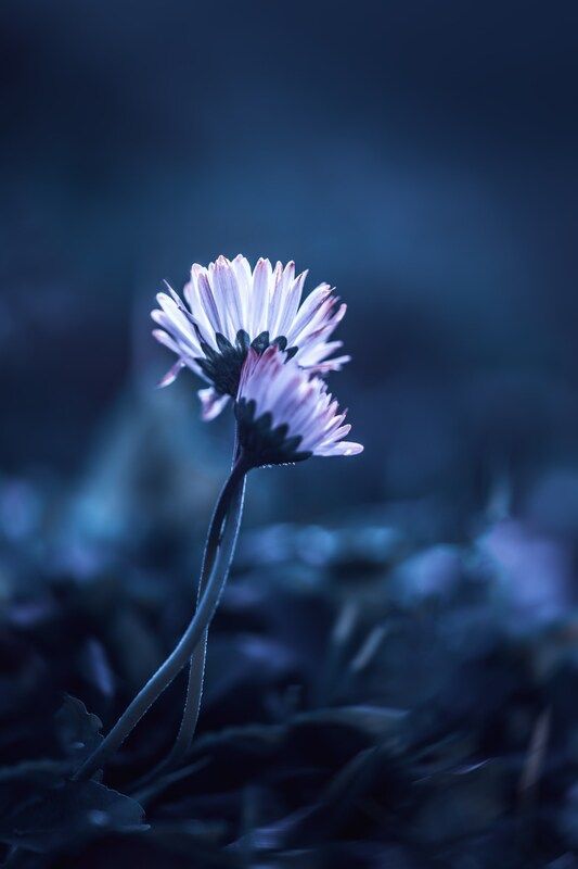 Вместе теплее фото превью