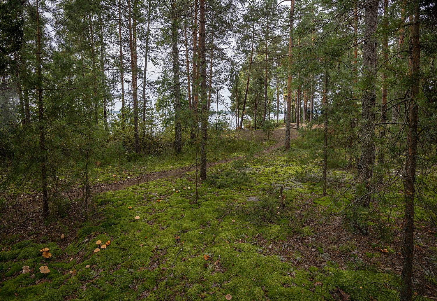 , Сергей Аникин