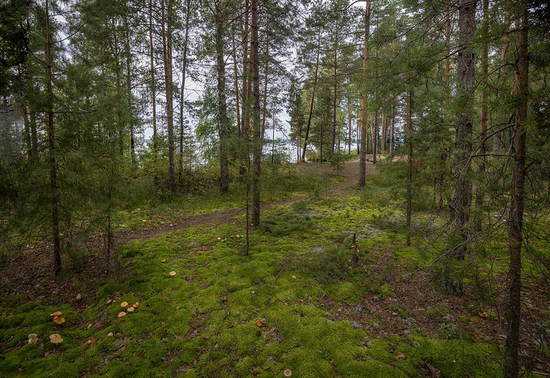 На острове фото превью