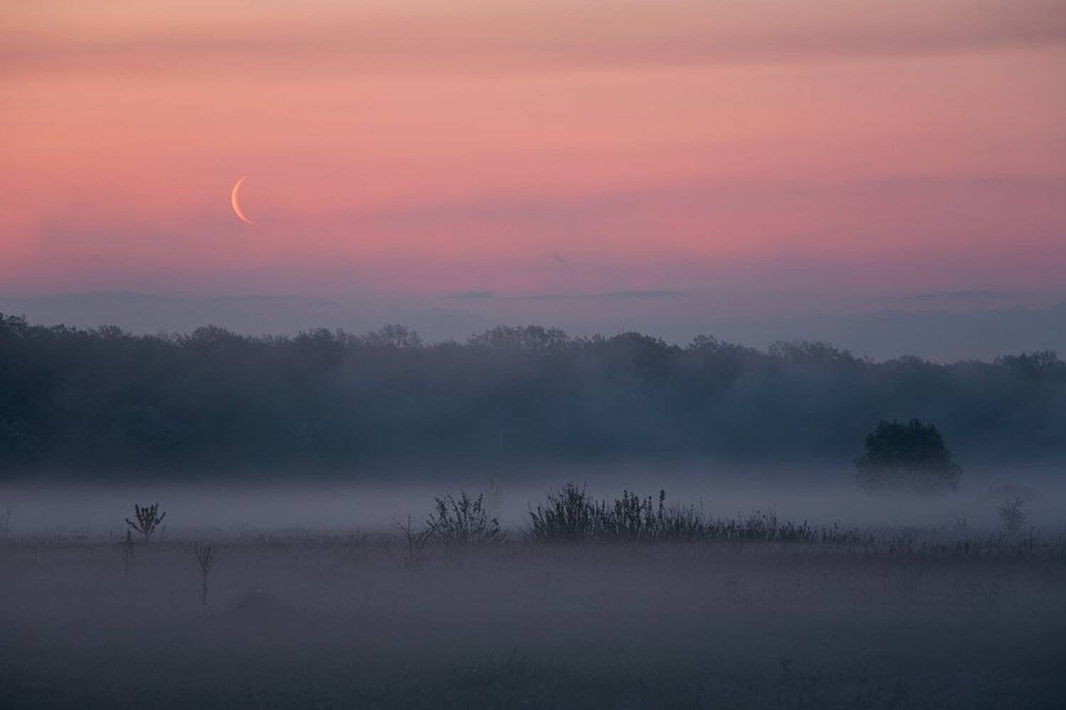 , Юрий Сорокин