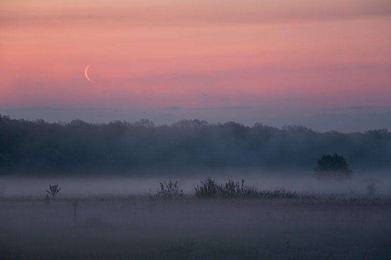 Вышел месяц из тумана... фото превью