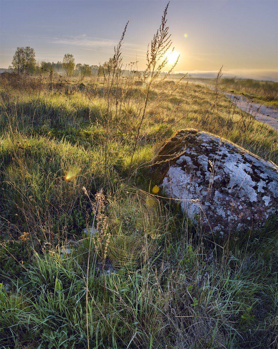 рассвет, Майя Афзаал