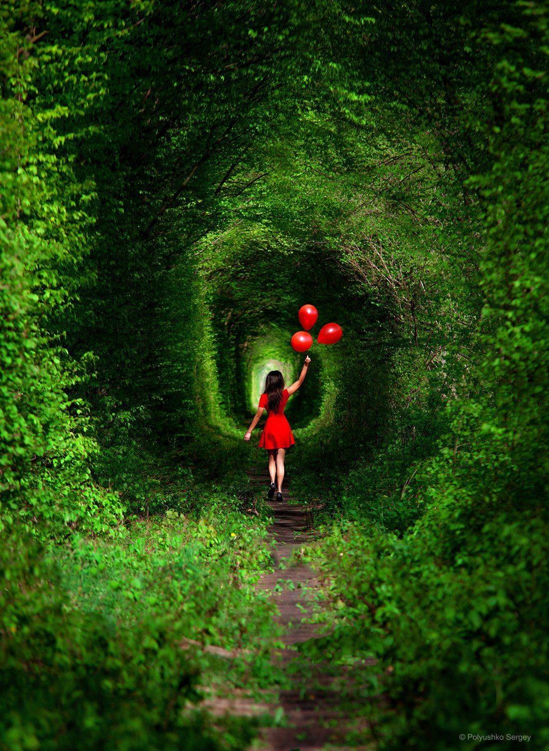 , Полюшко Сергей