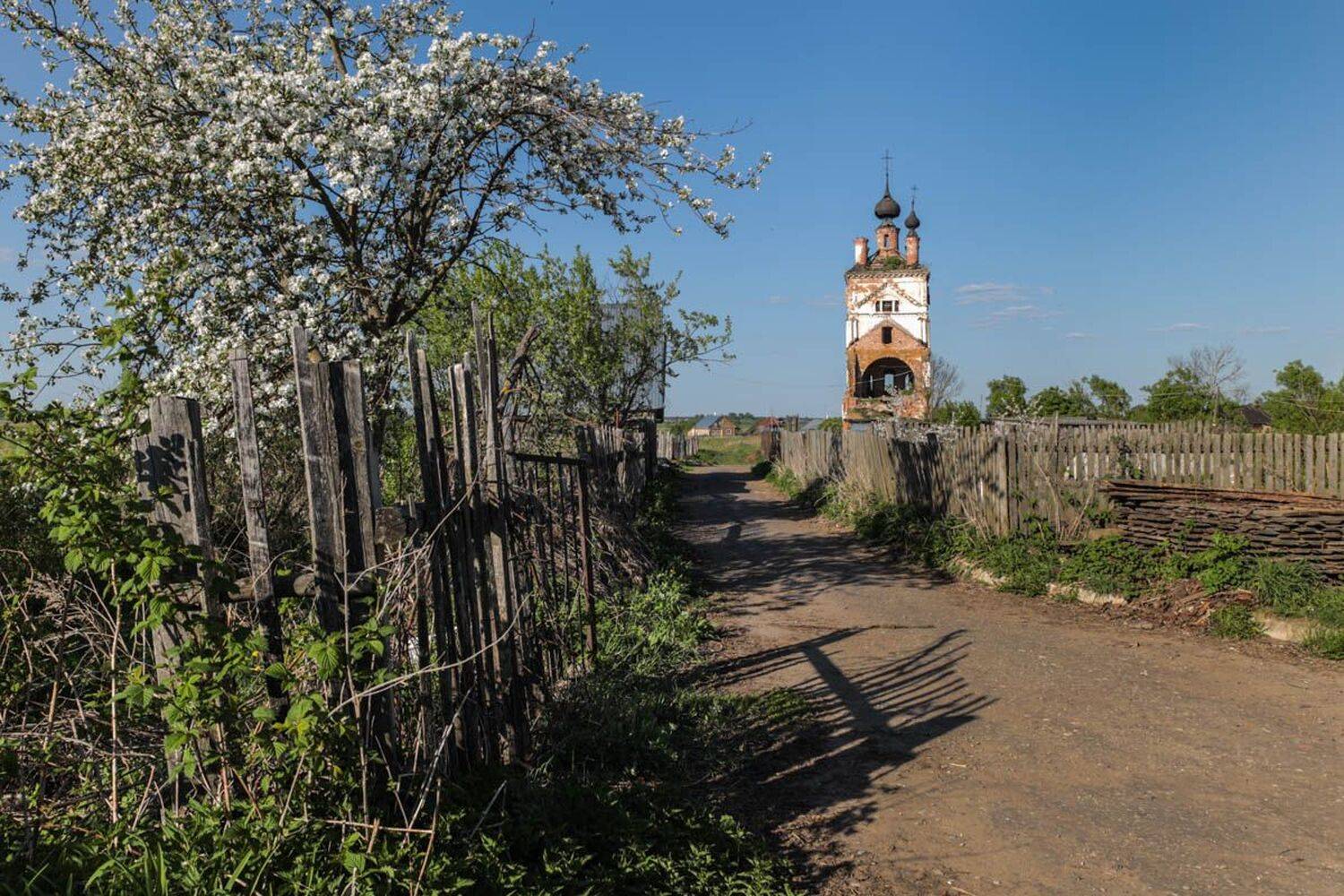 , Ксения Лайт