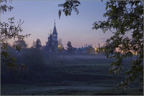 Черемуха цветет
