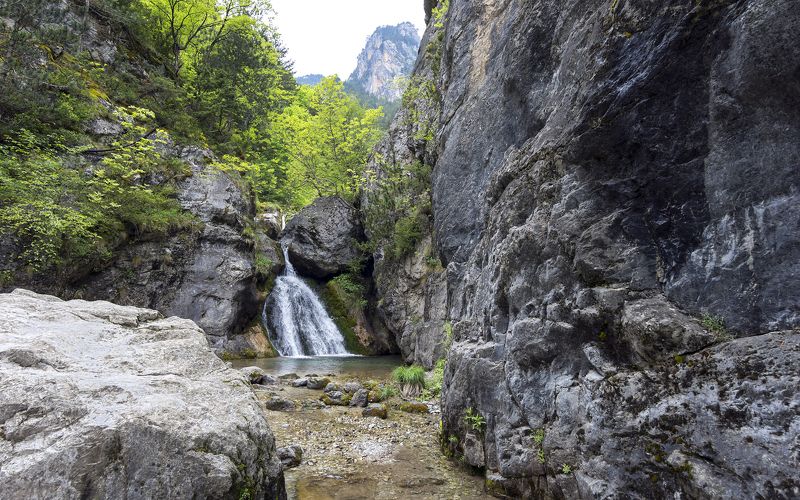 View from the trail фото превью
