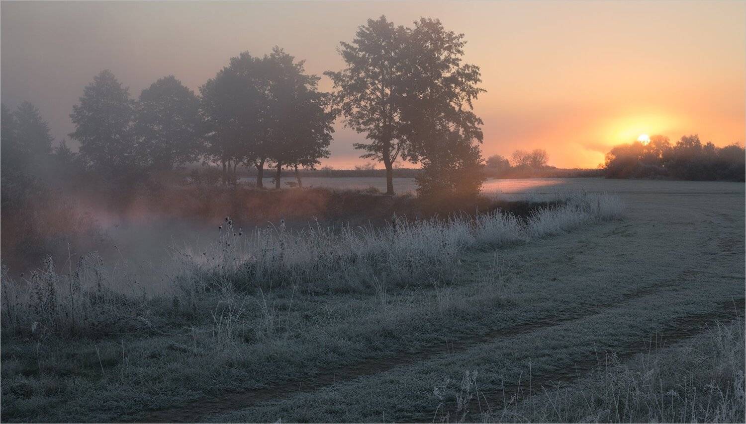 , Николай Шахманцир