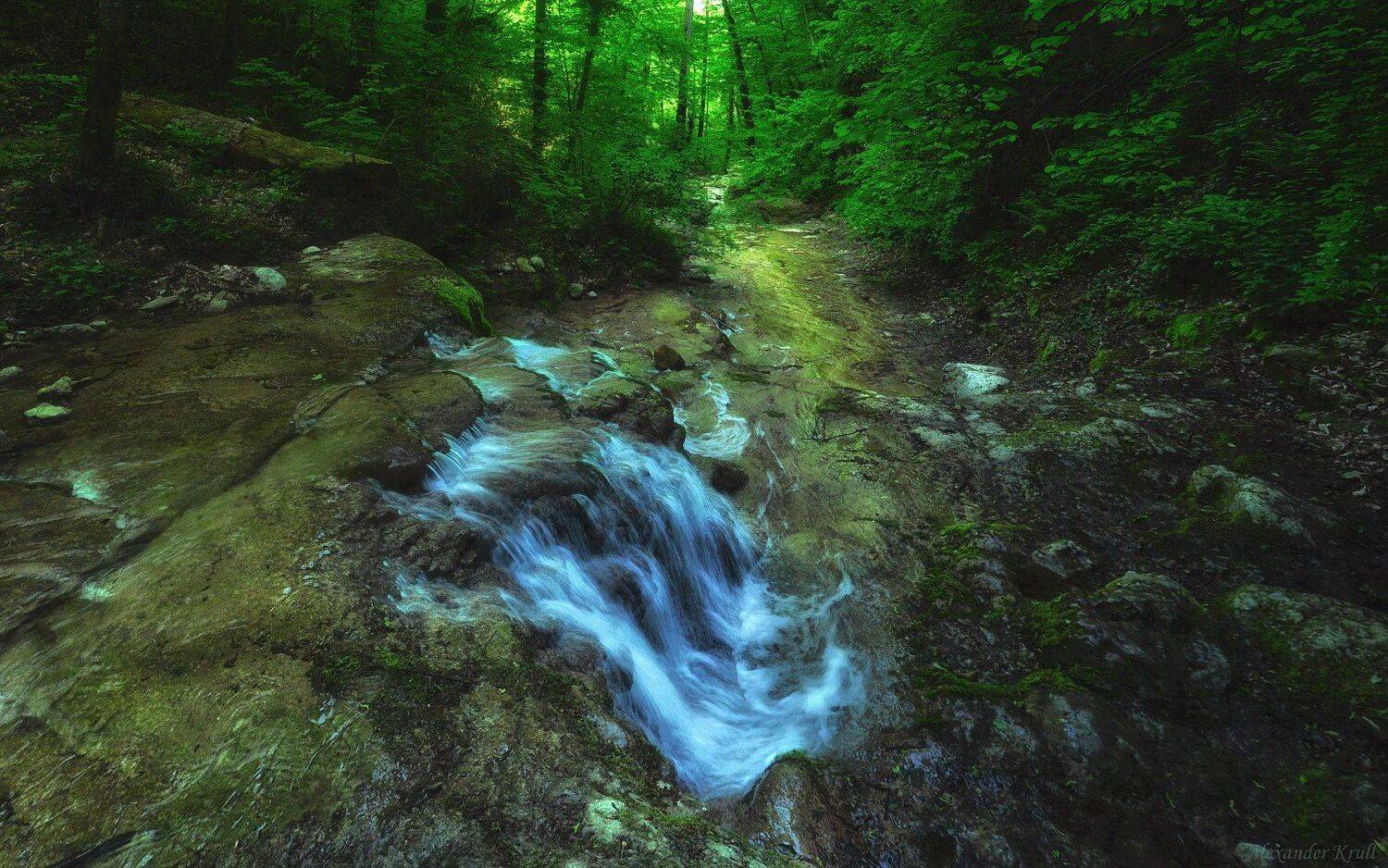 Кавярзе, Александр Круль