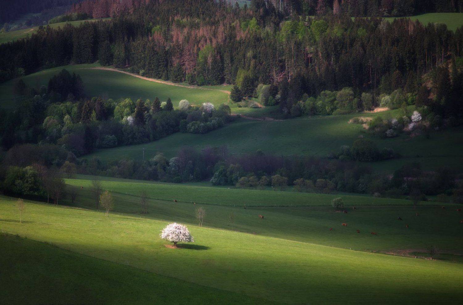 , Алексей Угальников