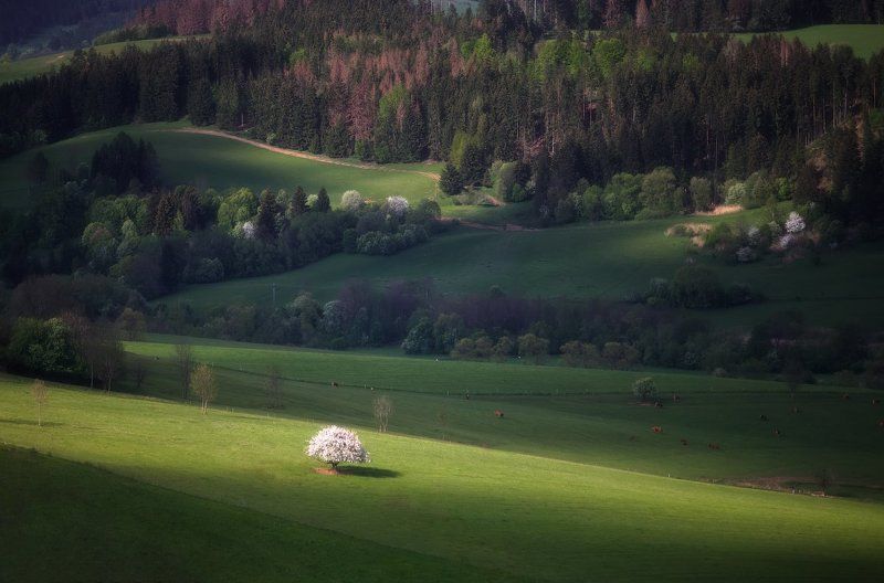 Весенняя театральная зарисовка фото превью