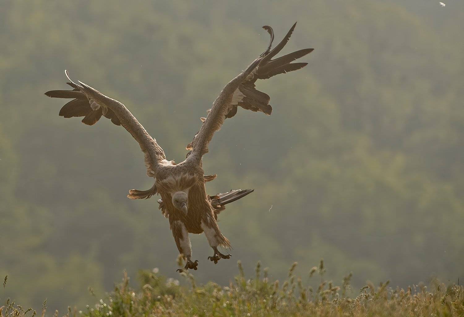 , Сергей Златков