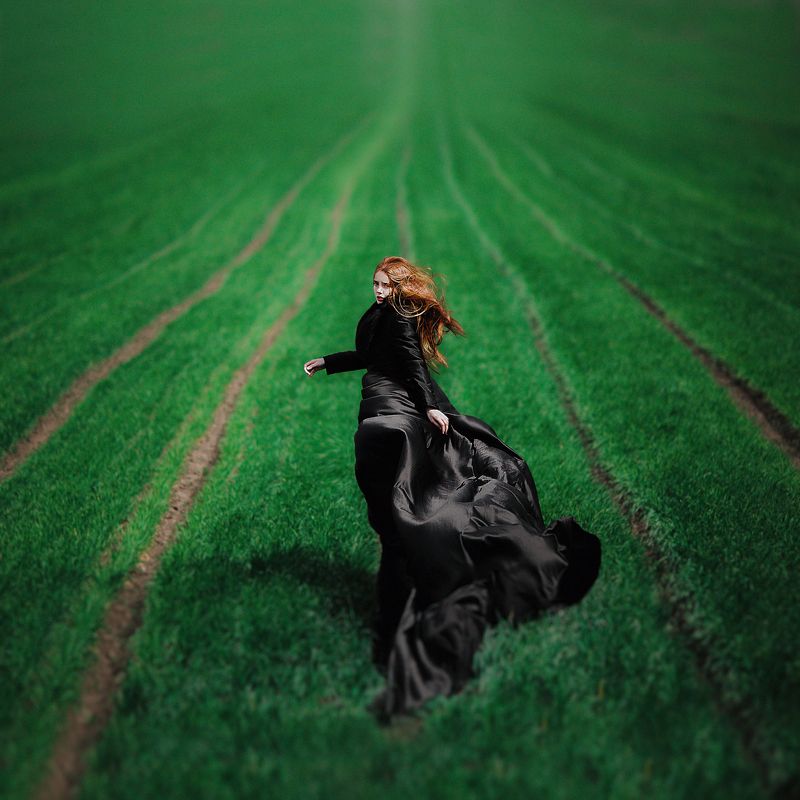 Wind фото превью