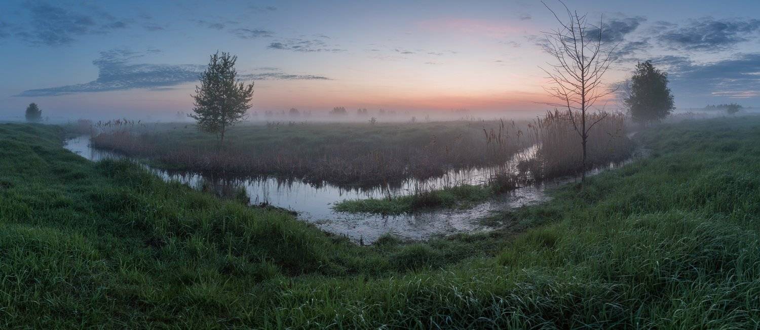 , Александр Бредихин
