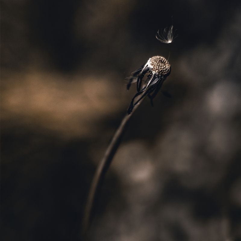 ...dramatic nature фото превью