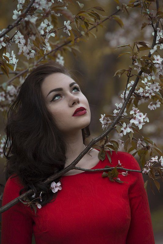 Вот она какая японская сакура фото превью