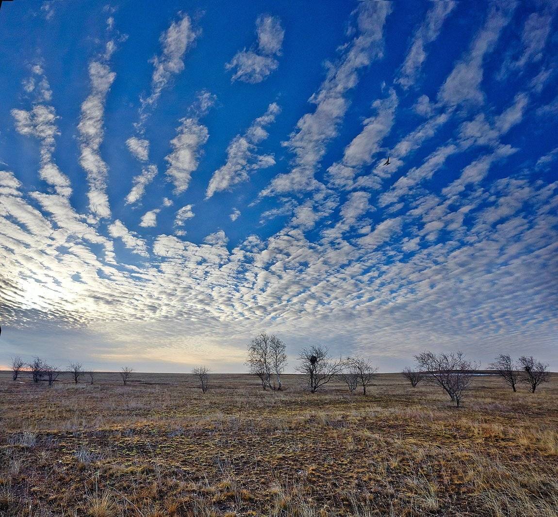 , Качурин Алексей