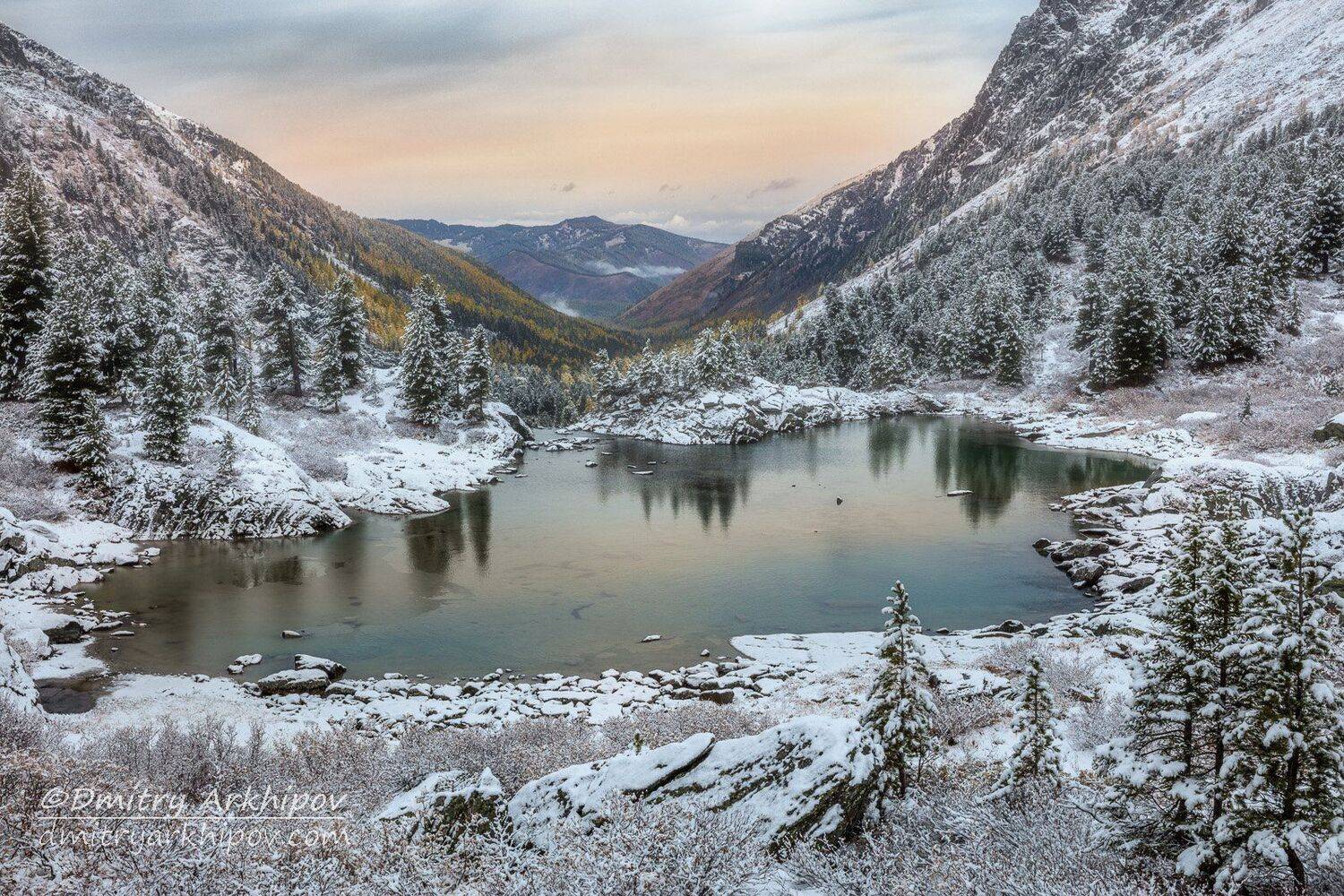 , Дмитрий Архипов