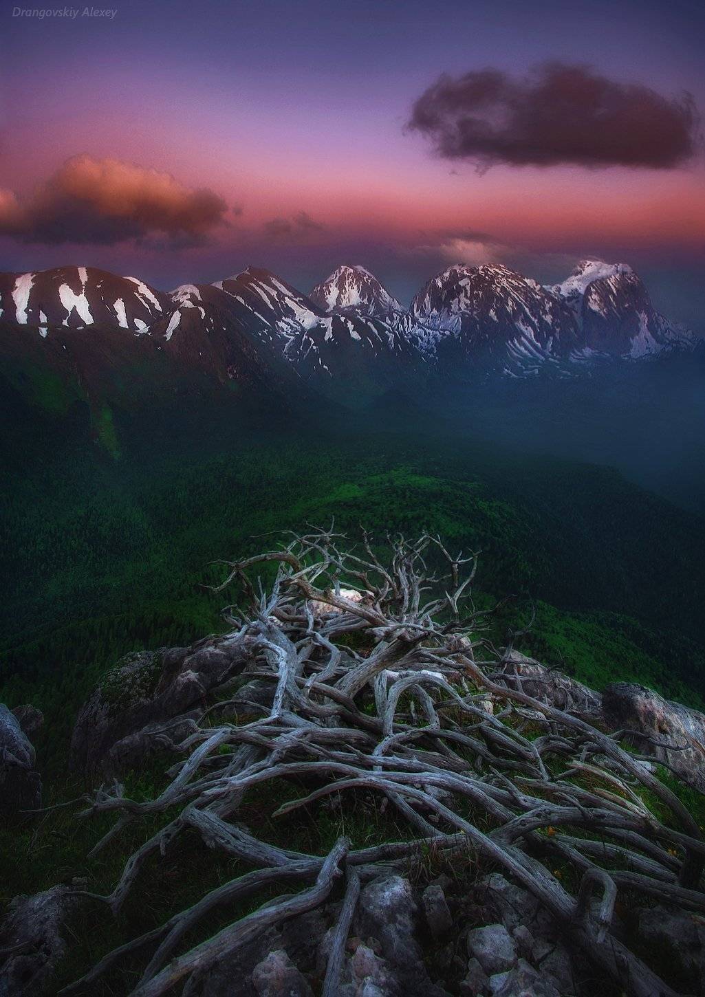 , Алексей Дранговский